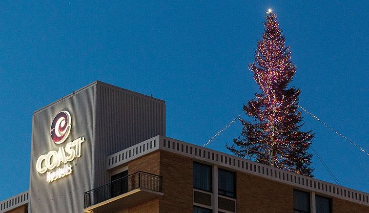 United-way-tree-of-lights.2.jpg