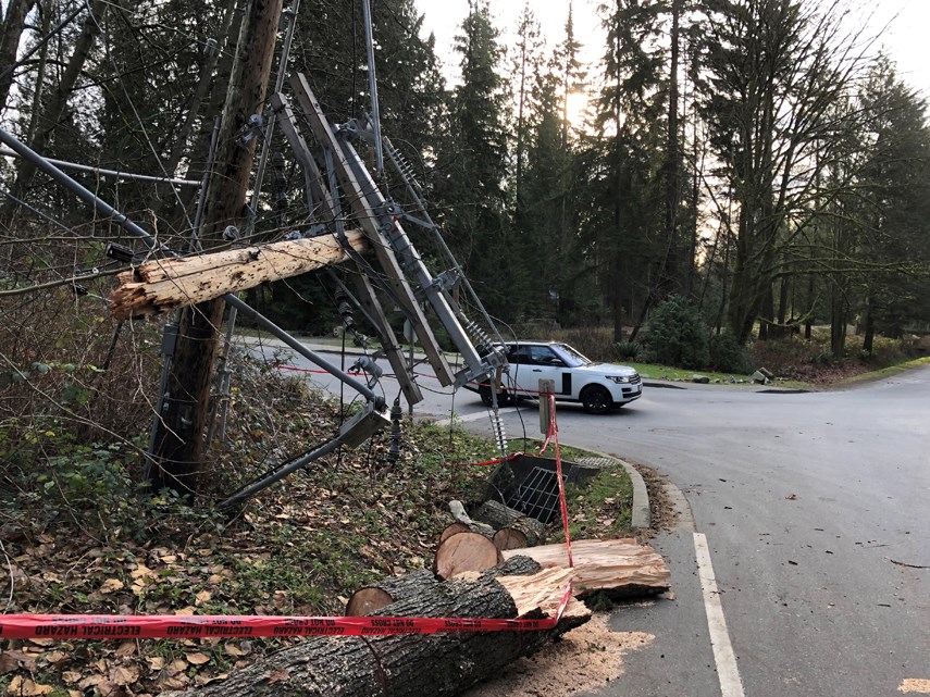 windstorm damage