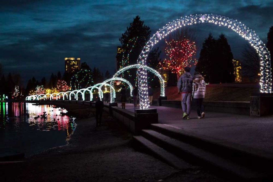 Lafarge Lake Lights