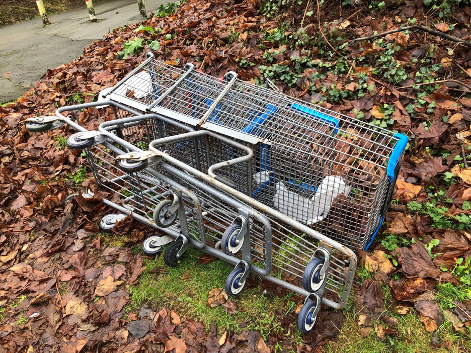 shopping carts burnaby