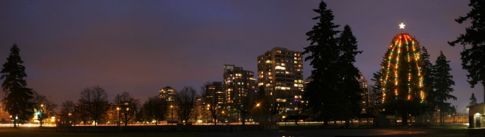 Moody Park tree