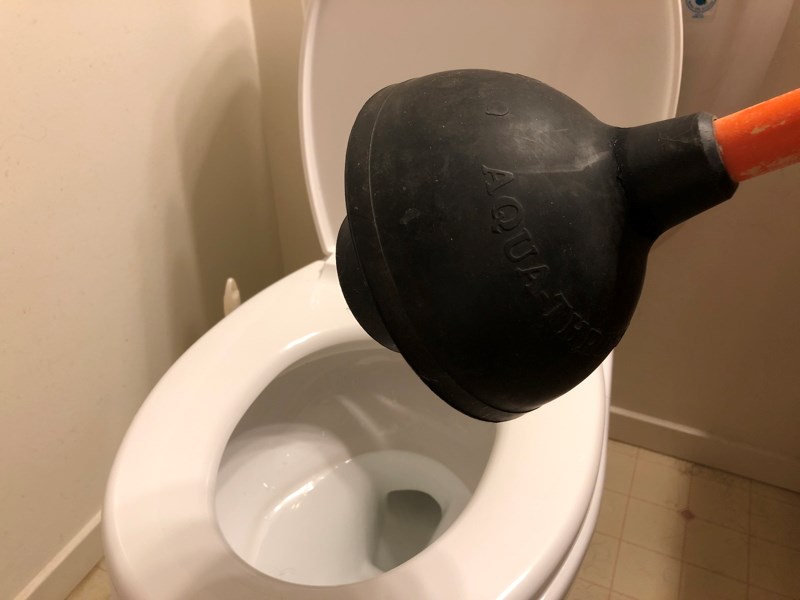 photo toilet plunger