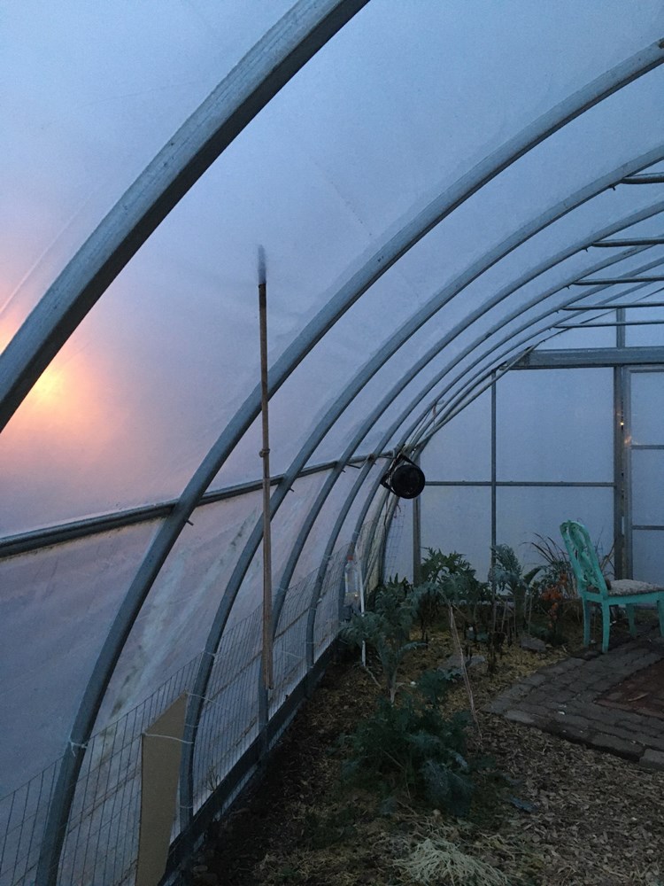 Vandals damage the Mamquam Edible Schoolyard's greenhouse_1