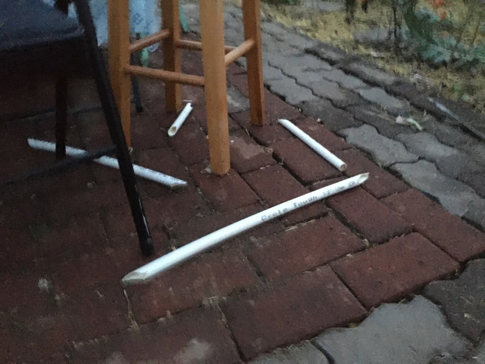 Vandals damage the Mamquam Edible Schoolyard's greenhouse_2