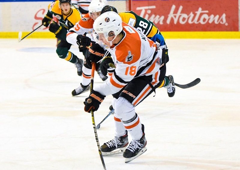 hockey player