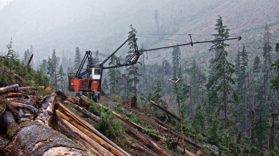 As forestry companies run out of easy-to-access timber, loggers are forced to move higher, which requires specialized steep-slope logging equipment.