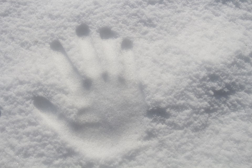 snow