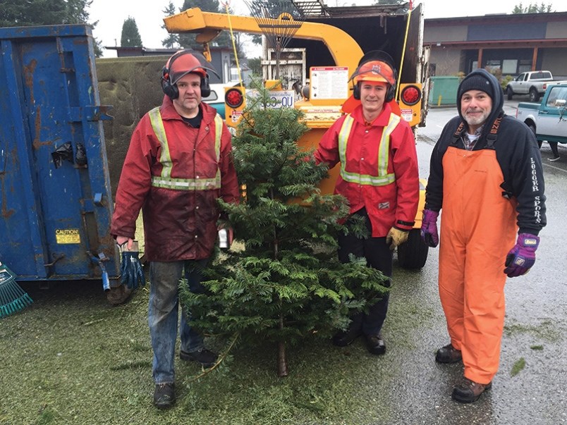 Tree mulching Powell River