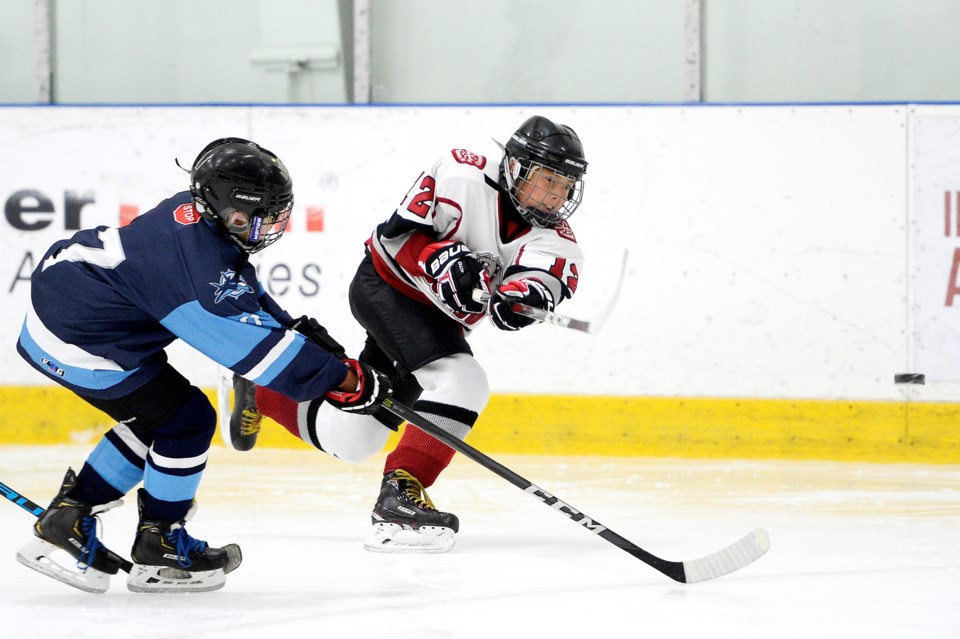 minor hockey