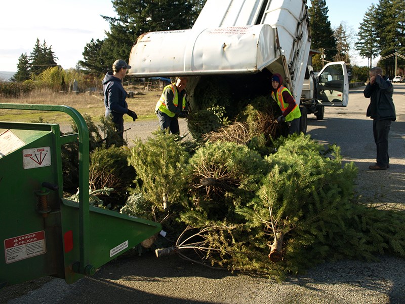 Special Olympics BC-Powell River Tree Mulch