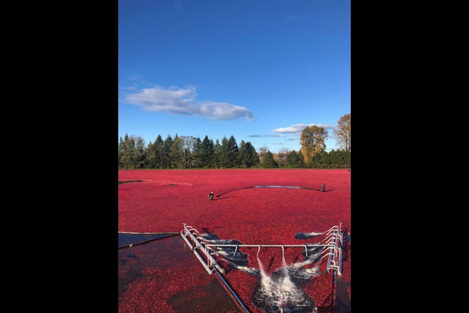 One of the photos Joyce Matson Harris shared to the Ladner's Landing Facebook group.