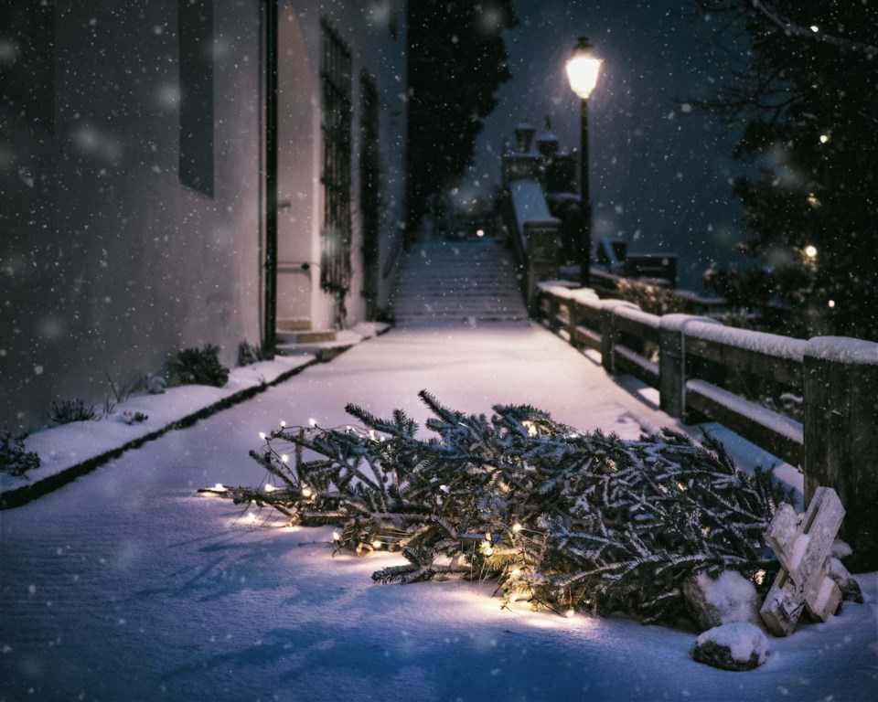 Christmas tree lying in the snow.