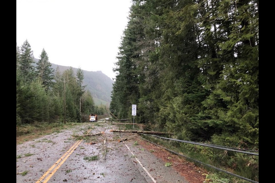 Downed power lines and fallen tree branches make the road virtually impassable near Lake Cowichan on Friday. Jan. 3, 2020