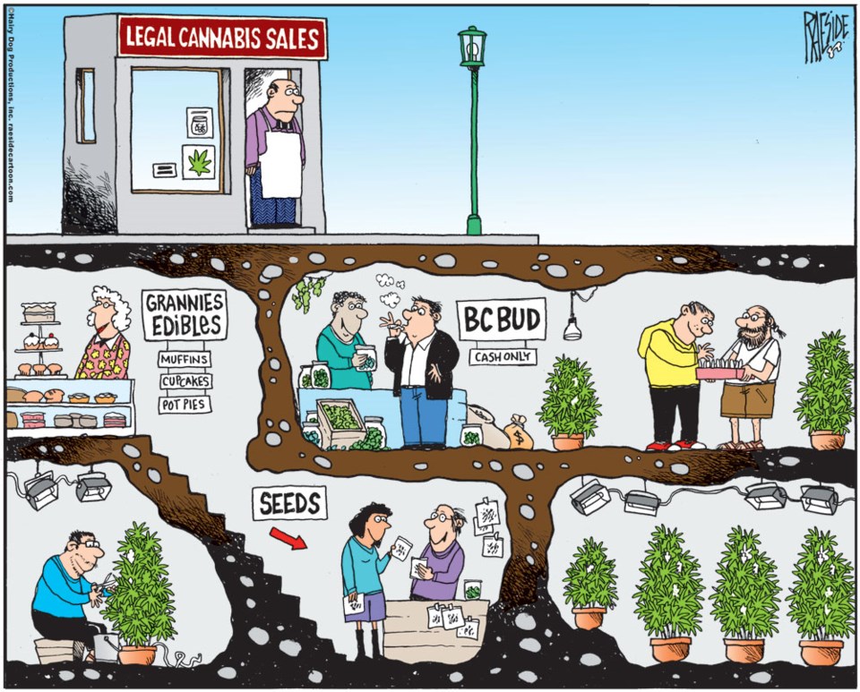 Adrian Raeside cartoon on cannabis Jan. 5, 2020