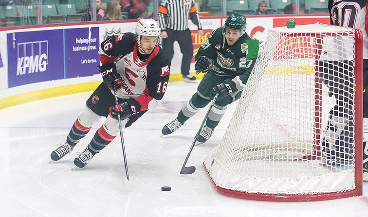 Silvertips slick in rematch with Cougars _0