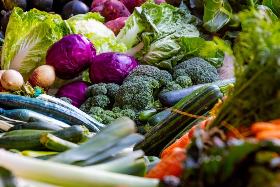 A bunch of veggies including cabbage, zucchini, lettuce and carrots.