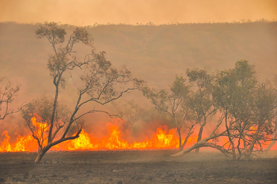 18 million acres of land have been burned