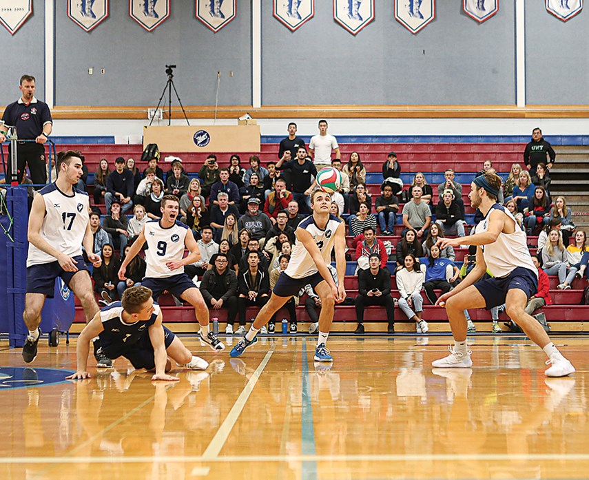 Blues volleyball