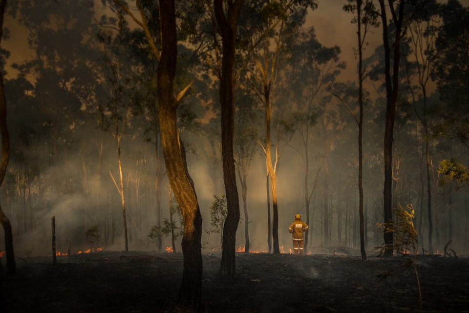 aussie bushfires