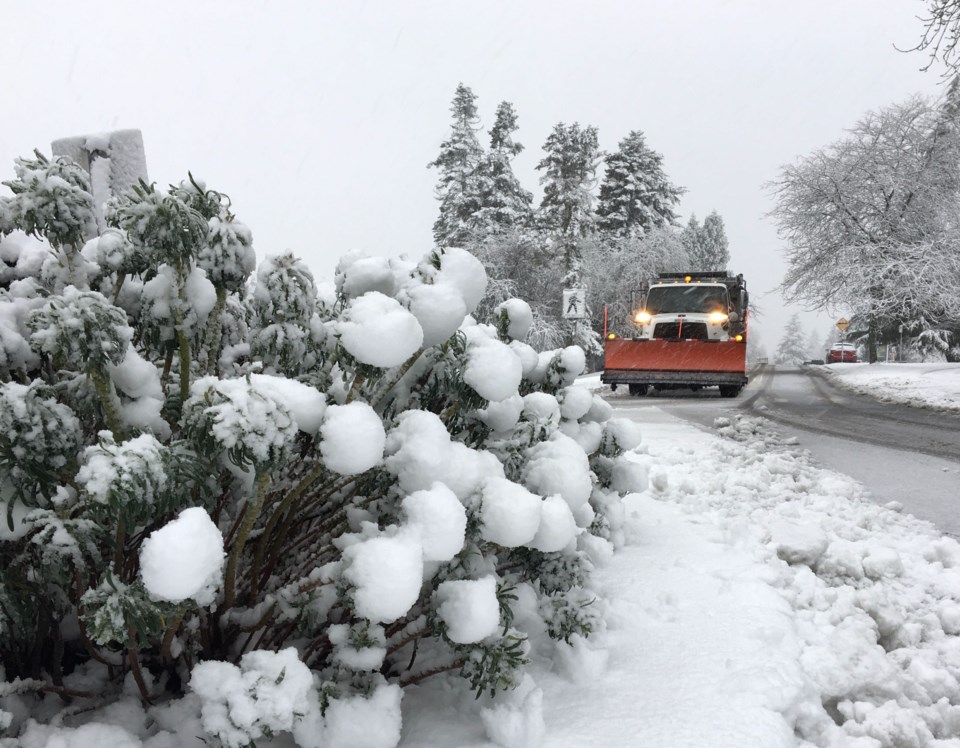 Vancouverites woke up to a dumping of snow this morning. Photo Dan Toulgoet