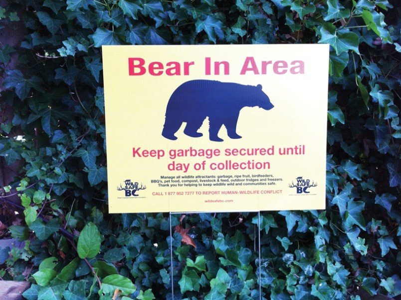 Bear sign