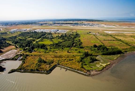 McDonald Tidal Marsh