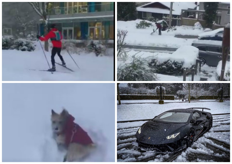 From the dude who cleared his sidewalk with a lawn chair to the dedicated winter warriors who strap