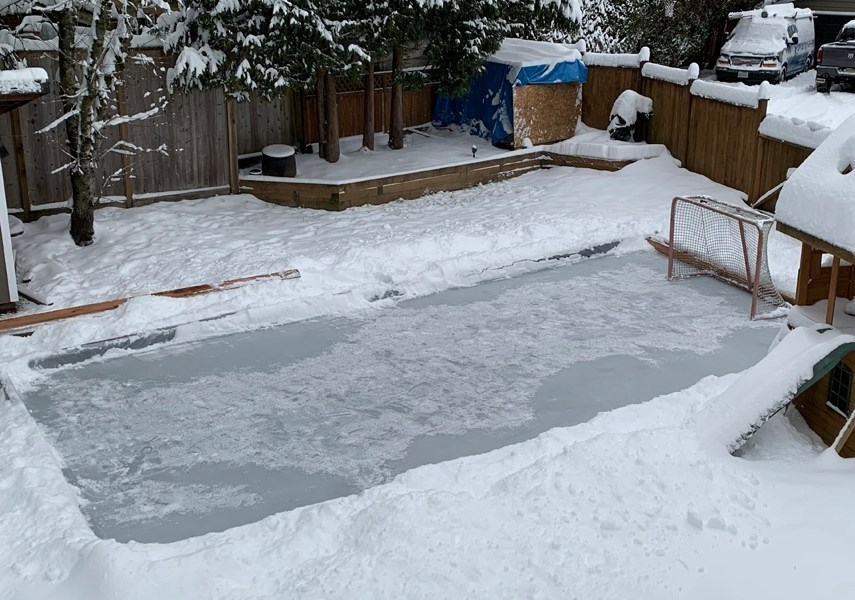 lynn valley rink