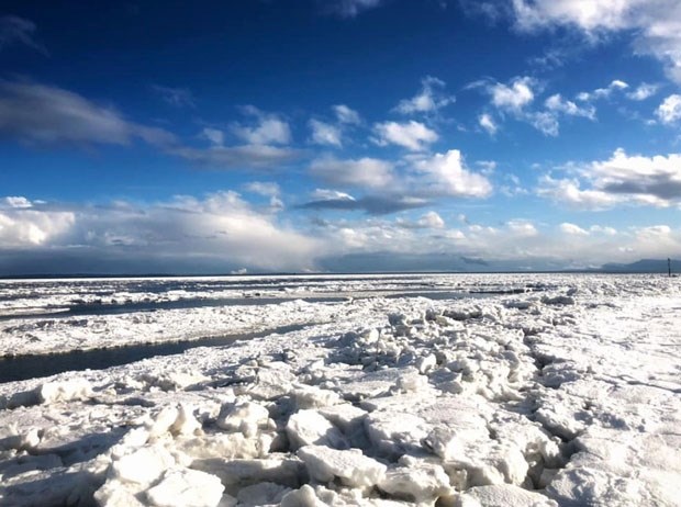 boundary bay