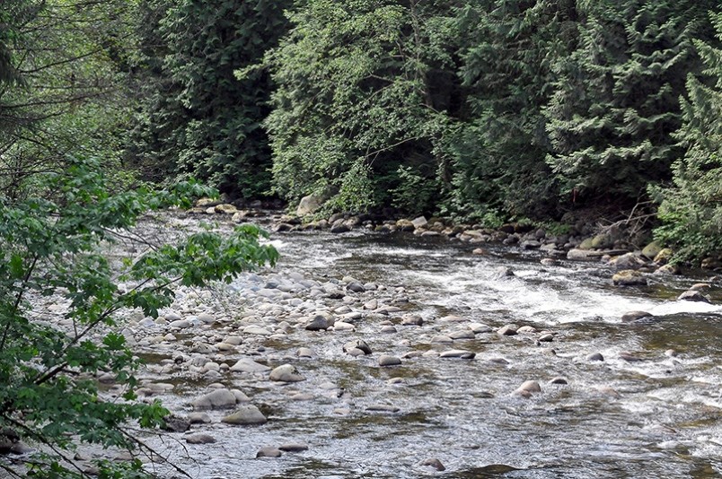 Coquitlam River