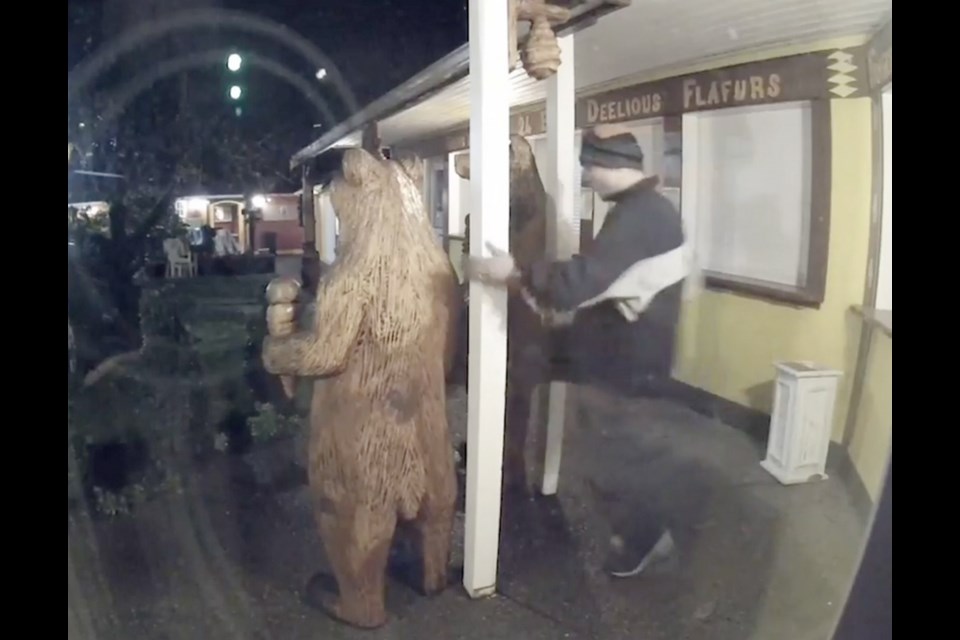 Surveillance video shows a person kicking a bear carving to dislodge it from a concrete and rebar mount at Baby Bear's Ice Cream Shoppe in Chemainus early Monday.