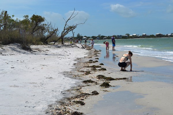 There is something very fairytale-like about Sanibel, one of the causeway islands in Southwest Florida. It's a magical place where you can see manatees, hunt for seashells and romance before a glowing sunset.