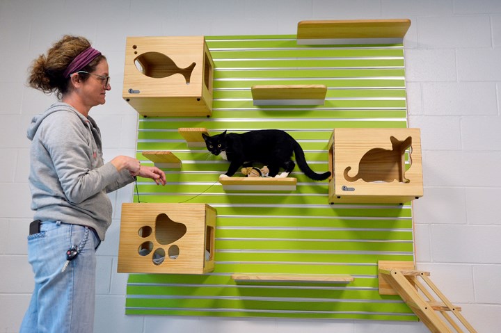 Volunteer Sheila Lechner and Bartholemew enjoy some time in the cat room at the city’s new animal shelter.