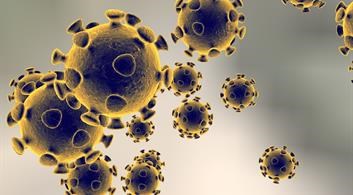 coronavirus