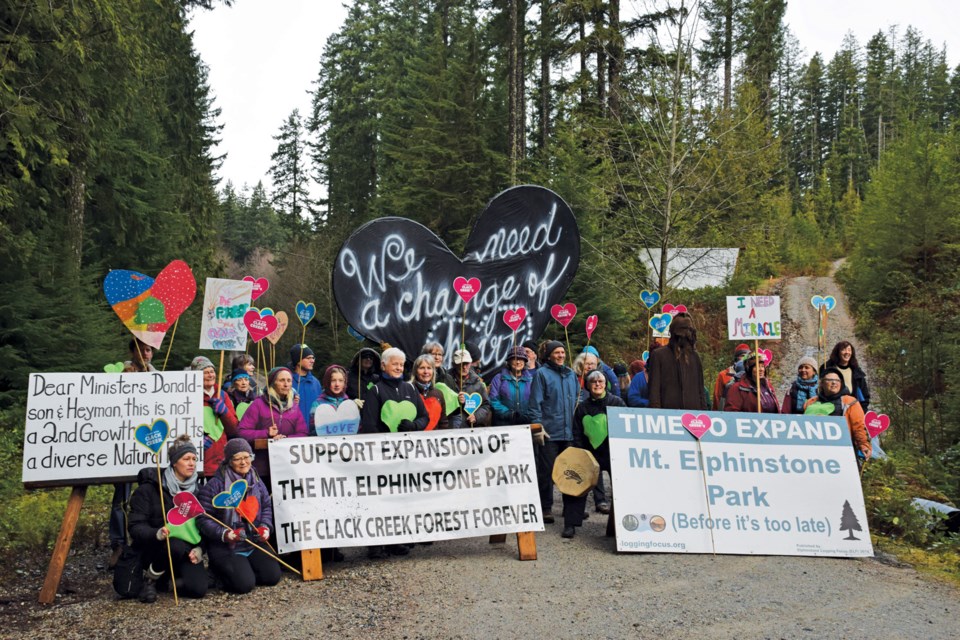 Protesters assemble Thursday, Jan. 30 at the blockade on the logging road leading to the disputed cutblock.