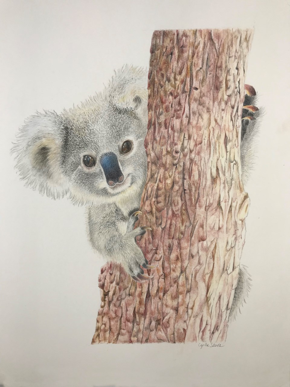 A limited number of koala prints are for sale to raise money for fire-affected wildlife in Aus.