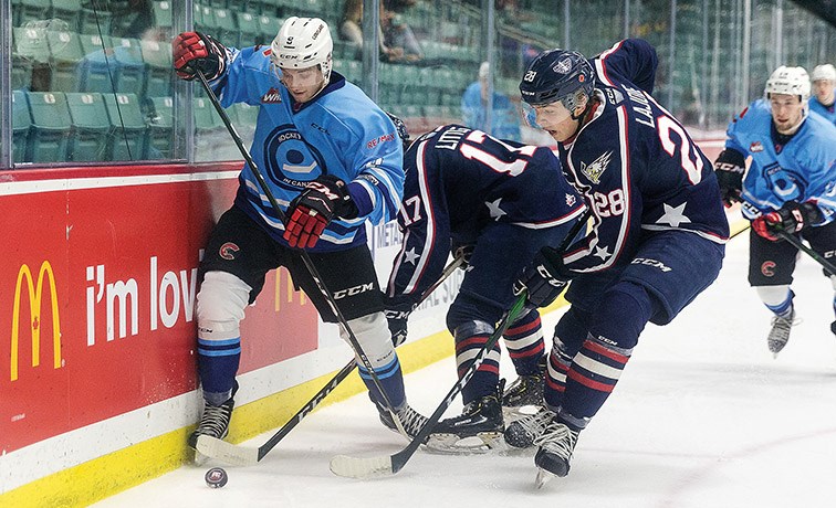 Prince George Cougars forward Tyson Upper battles along the boards for control of the puck against Tri-City Americans defenders John Little (#17) and Marc Lajoie (#28) on Friday night at CN Centre. The Cougars were wearing special jerseys for WHL Suits Up to Promote Organ Donation. The jerseys will be auctioned off with proceeds going to the Kidney Foundation of Canada.