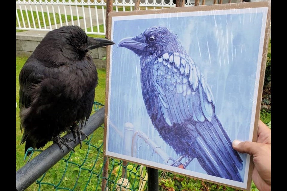 More than 40 Canuck the Crow art pieces hang on the walls of Shawn Bergman's home, created by his many fans. This art piece was created by Sherry Klassen. Photo courtesy Shawn Bergman