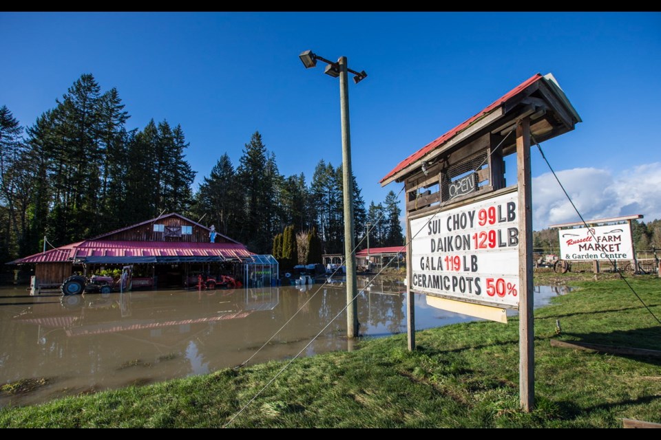 Russell Farms Market & Garden Centre after flooding in Chemainus.