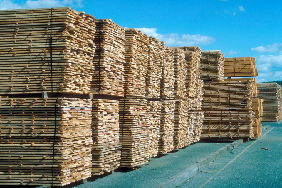 Lumber piles WEB