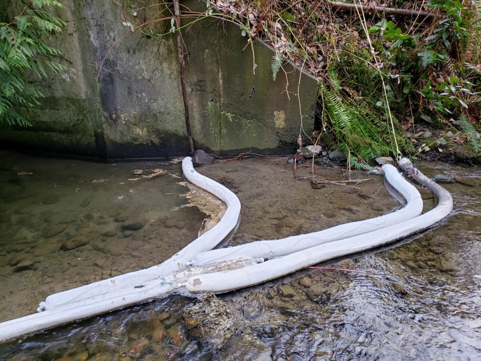 Last summer, the city of Coquitlam installed booms in Stoney Creek to catch what a appeared to be a