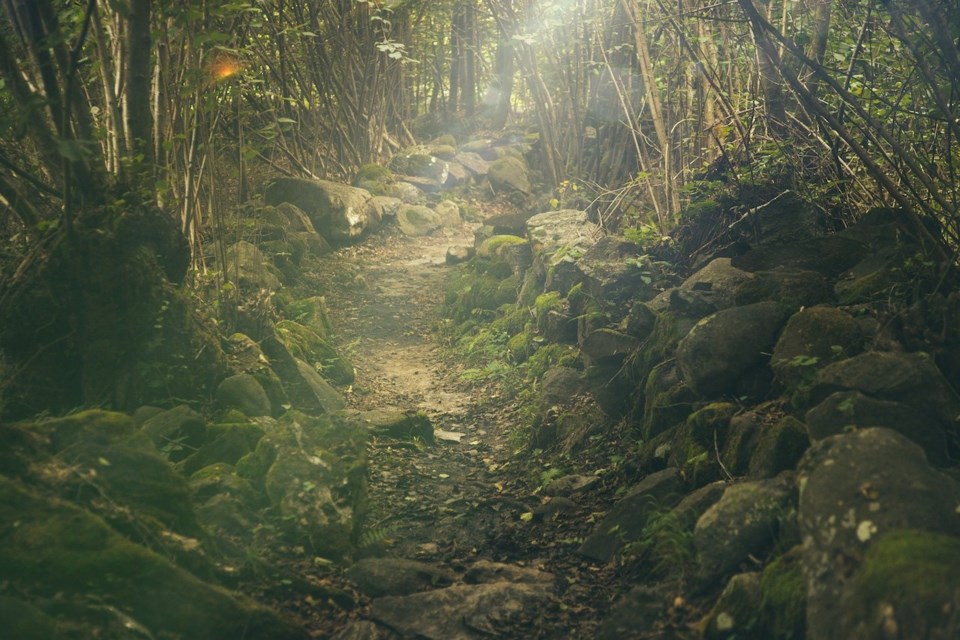 file photo of a trail through the woods