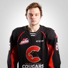 Cougars nikita krivokrasov