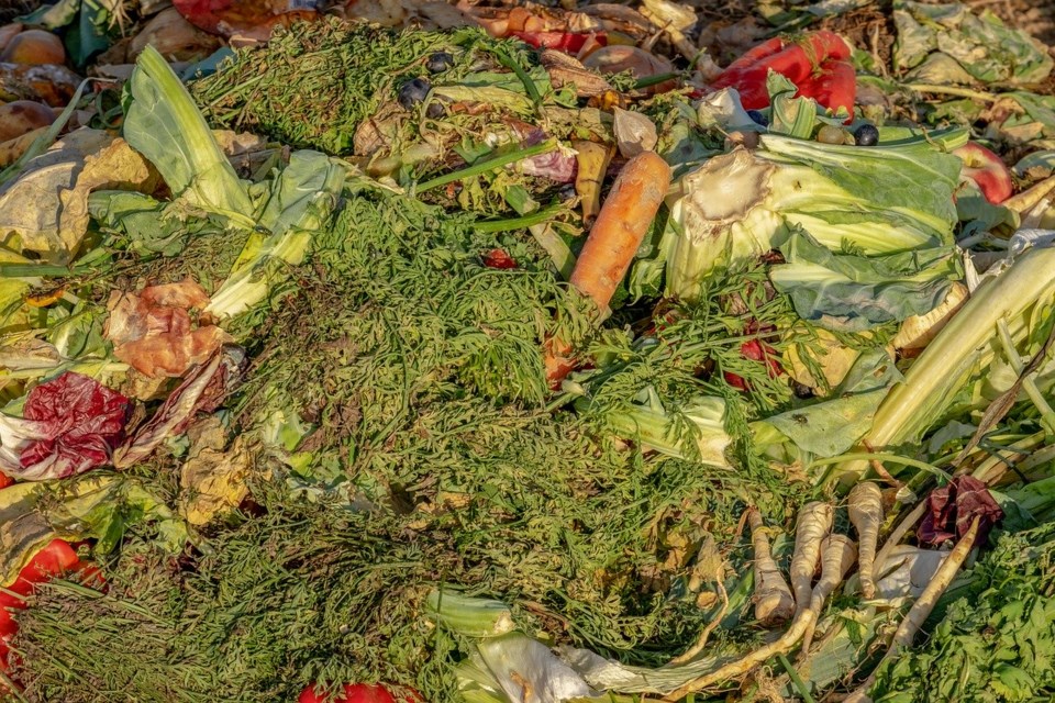 Food scraps in an evening light