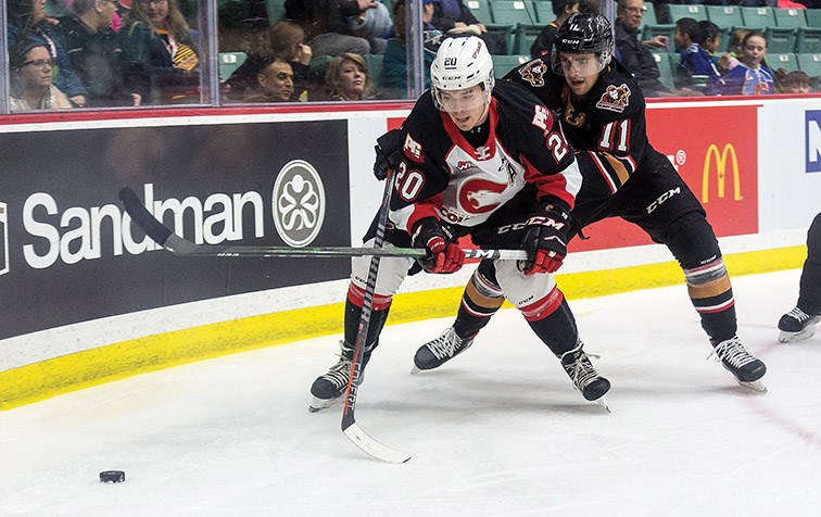 Citizen Photo by James Doyle. Prince George Cougars forward Ilijah Colina and Calgary Hitmen forward Cael Zimmerman battle for the loose puck on Saturday night at CN Centre.