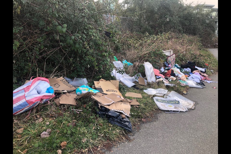 Garbage on this stretch of 18th Street, between 14th and 10th Avenues, between Stride elementary and Byrne Creek high school. Contibuted photo