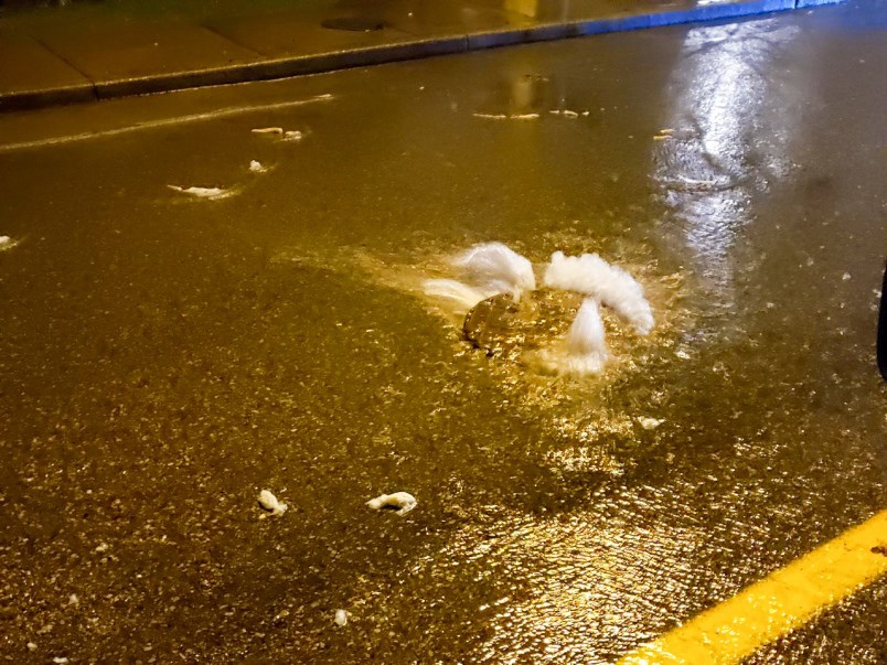 North Road Coquitlam manhole spewed sewage near Oakdale Park