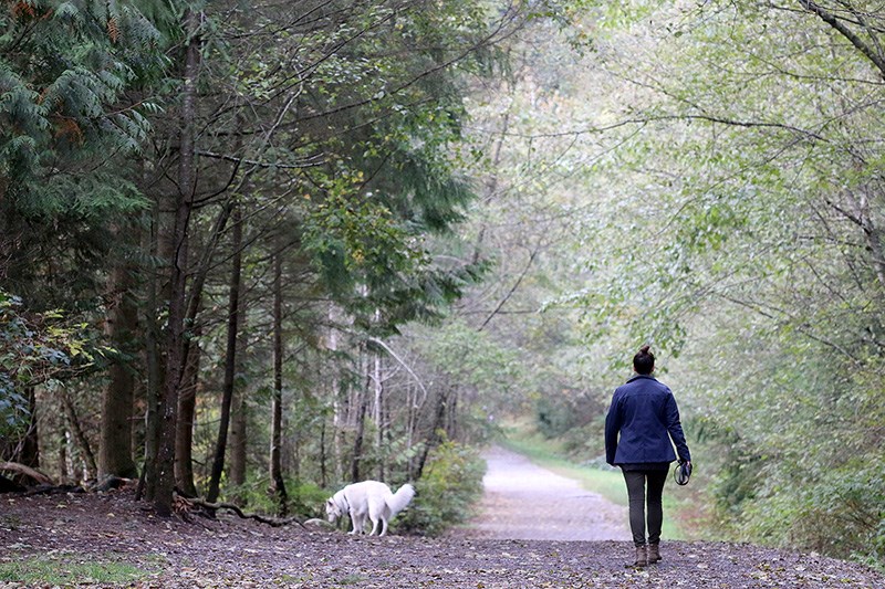 dog walkers in Bert Flinn park in Port Moody