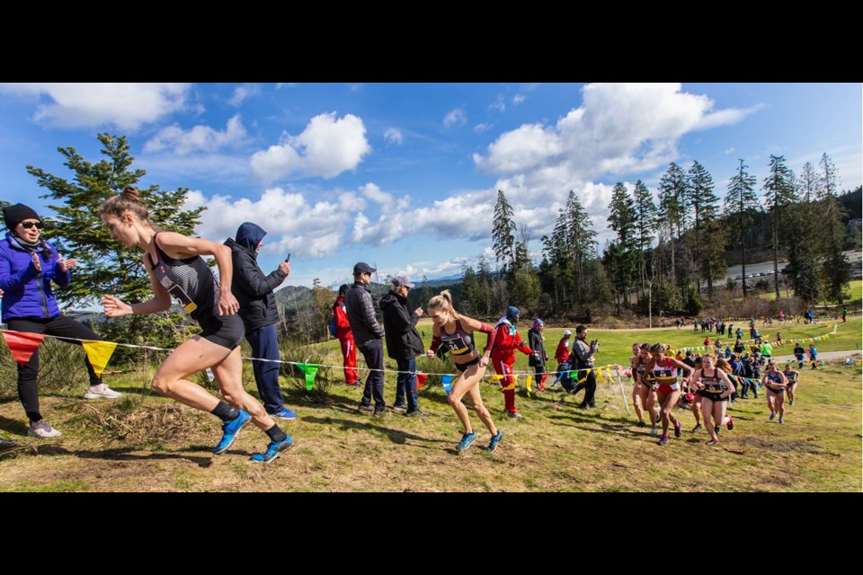 Genevieve Lalonde, who trains at the Pacific Institute for Sport Excellence at Camosun College, leads the Senior Women Pan Am XC Cup race up one of the hills at the Bear Mountain Resort. Lalonde won the race.