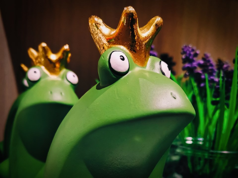 frog